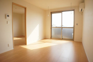 メゾン・ベルデュール一番館 202号-2