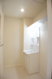 ウイング西城南B 203号-9