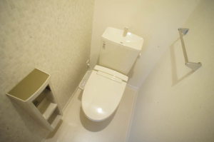 フェリオ乙女 201号-8