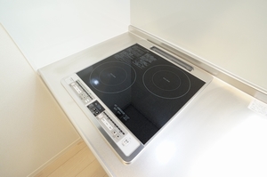 シャーメゾン城山公園 201号-8