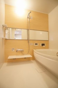 メゾン・ベルデュール三番館 205号-4