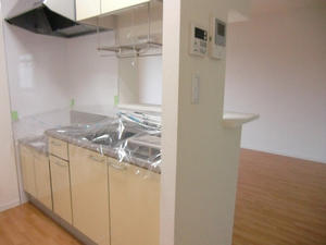 カルプマレメゾン 103号-11