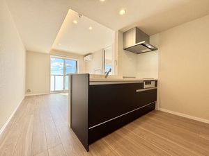 メーデン・コート 203号-8