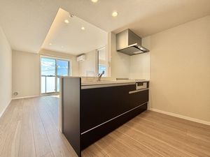 メーデン・コート 303号-8