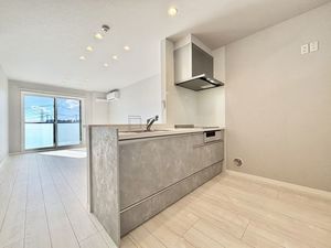 メーデン・コート 305号-8