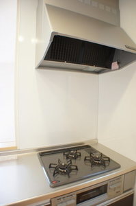 ＩＳＨＩＫＡＷＡ　ＨＩＬＬＳ　Ⅳ 102号-5