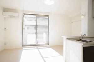 アンビエラ 102号-2