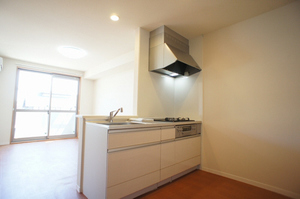 フラン・デスポワール元総社 202号-2