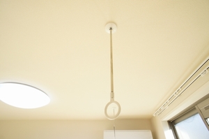 Ｈａｌｅｍａｈａｌｏ　Ｃ 102号-4