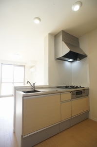 Ｈａｌｅｍａｈａｌｏ　Ａ 203号-3