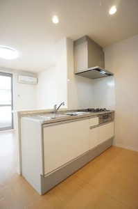 ラフィーネ　高崎　Ⅱ 102号-3