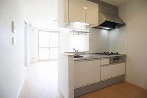 メゾン　セレナーデ 102号-3