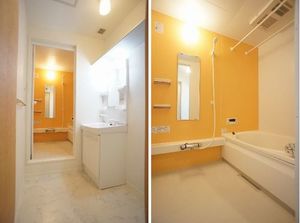 ブリリアント　Ａ 202号-10