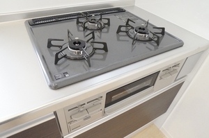 さんのこえだハイツ 102号-5