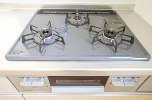 さんのこえだハイツ 203号-4