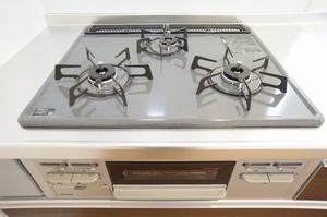 エーデルワイスＣ 101号-4