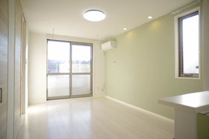 ルミナスＡ 105号-2