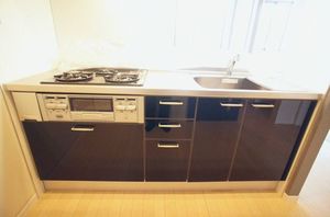 マストライフ高崎上大類B 101号-7