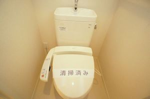 マストライフ高崎上大類B 101号-11