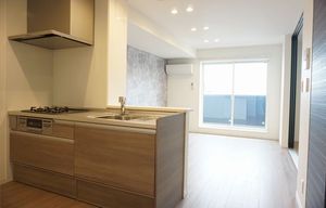 Ｌａ　ｖｉｅ　ｒｉｃｈｅ　南町 303号-2