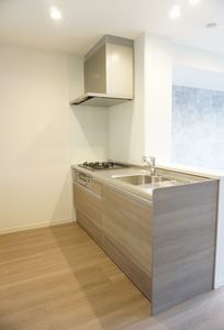 Ｌａ　ｖｉｅ　ｒｉｃｈｅ　南町 303号-3