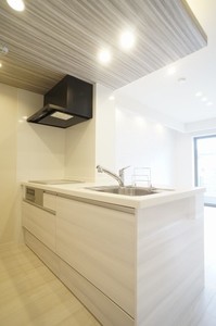 サラ イースト 101号-3