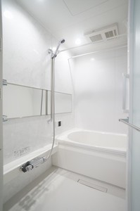 サラ　イースト 105号-9