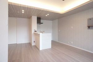 グレイスジャスティ 101号-4