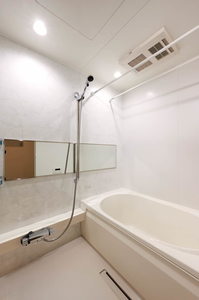 アルティスタ 102号-10