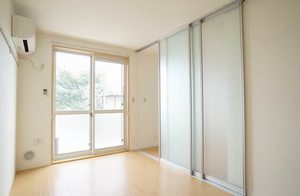 ミラージュキャッスル 210号-3