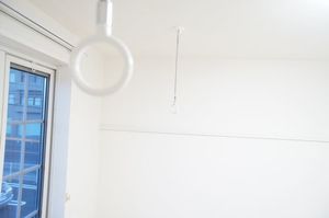 プロモントワール 203号-8