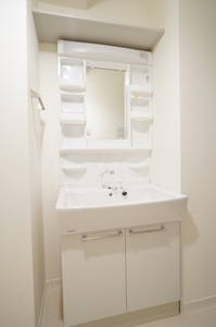 ドリーミオ大塚　Ａ 308号-8