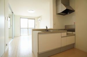 レジーナ　Ⅰ 205号-3