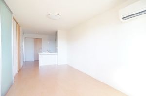 ピエールリヴィエール D 205号-2