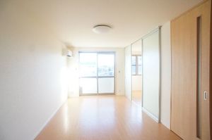 ピエールリヴィエール D 205号-3