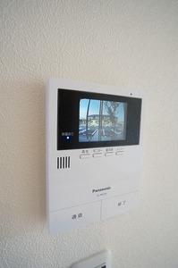 レティシア峰後　Ⅱ 207号-3