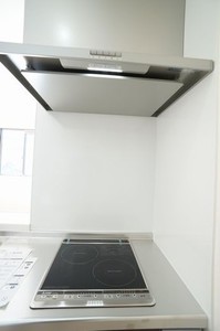 ロイヤルヒルズ　Ⅰ 203号-4