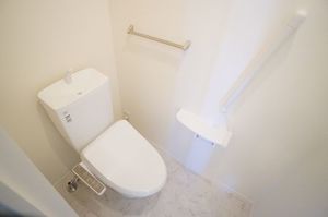 ロイヤルヒルズ　Ⅰ 203号-10