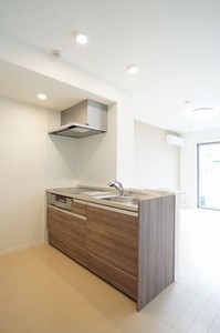 リッツガーデン元吉田 302号-3