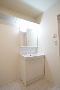 リッツガーデン元吉田 302号-9