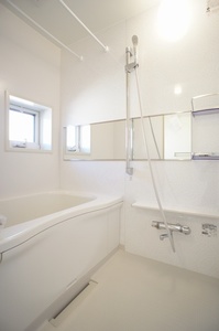 向日葵 C 201号-8