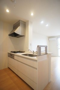 シャ-フ・ベルク Ⅱ 203号-3