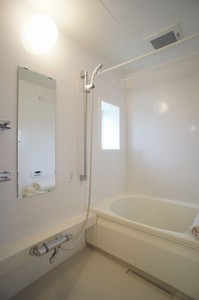 シャ-フ・ベルク Ⅱ 203号-9