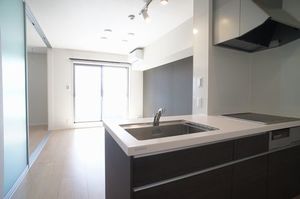 ラ・ルーチェ 303号-3