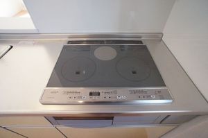 ポラリス 203号-10