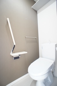 フェリジータ 101号-9