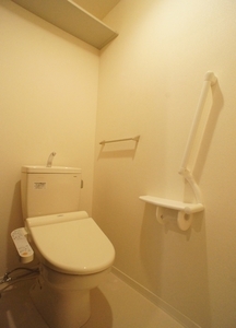 ブラウン クロス 201号-10