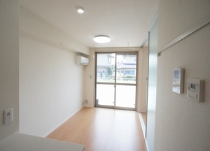 サウザン　スプリング 102号-2