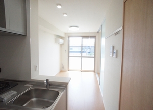 サウザン　スプリング 205号-2