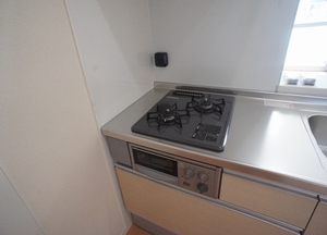 サウザン　スプリング 205号-7